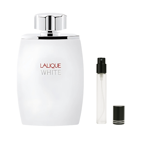 Lalique White Pour Homme EDT for Men Decants The Perfume Savor