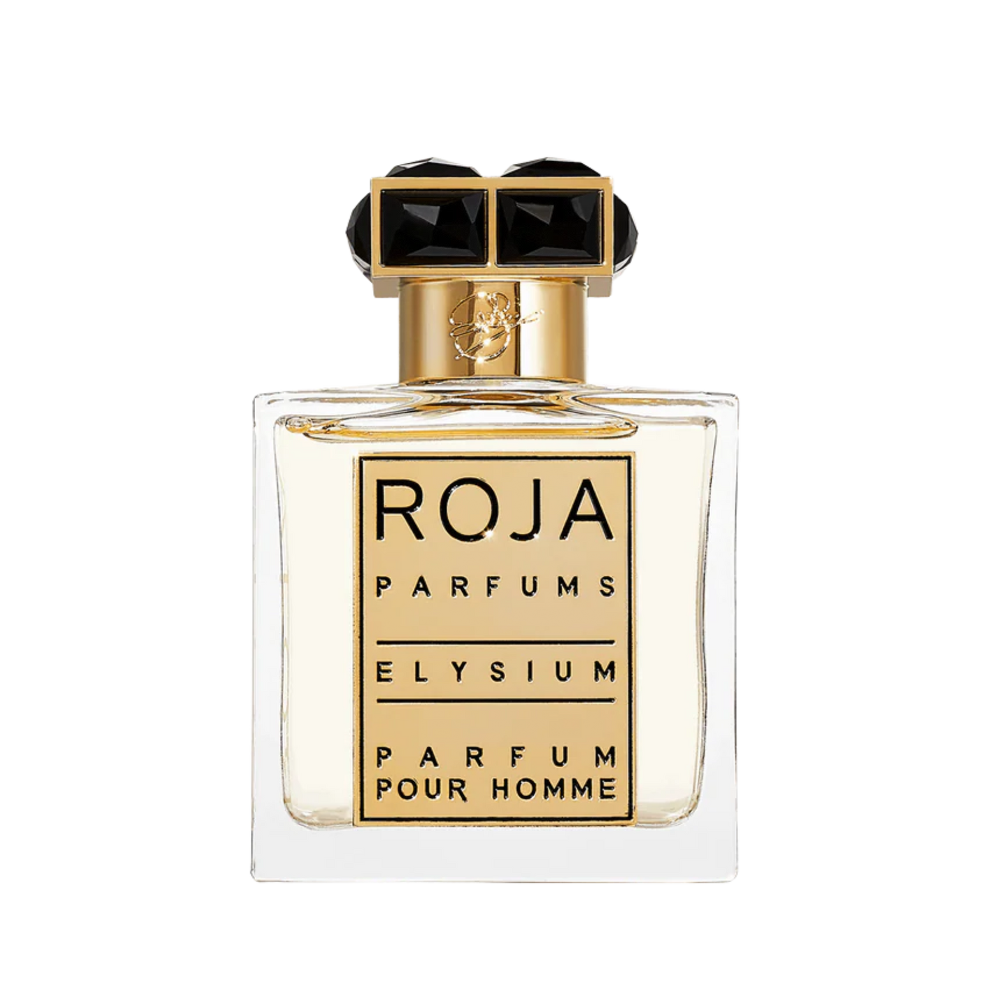Roja Elysium Parfum Pour Homme 100ml The Perfume Savor